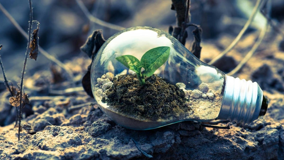 Sustentabilidade fortalece soberania económica das empresas