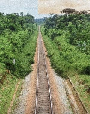 Estados Unidos avançam com Corredor da Liberdade para explorar riquezas africanas